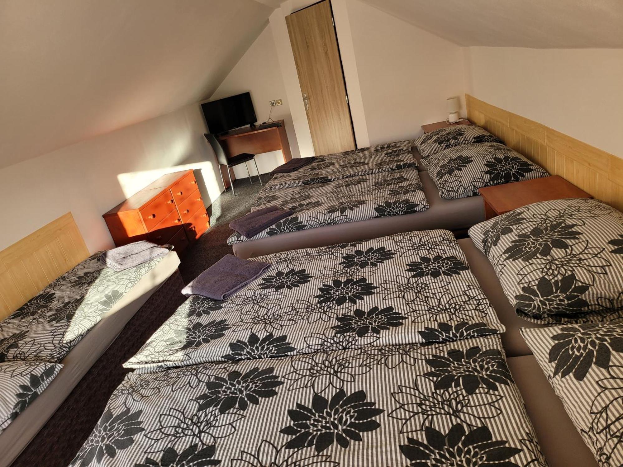 Penzion Karolina Lučany nad Nisou Extérieur photo