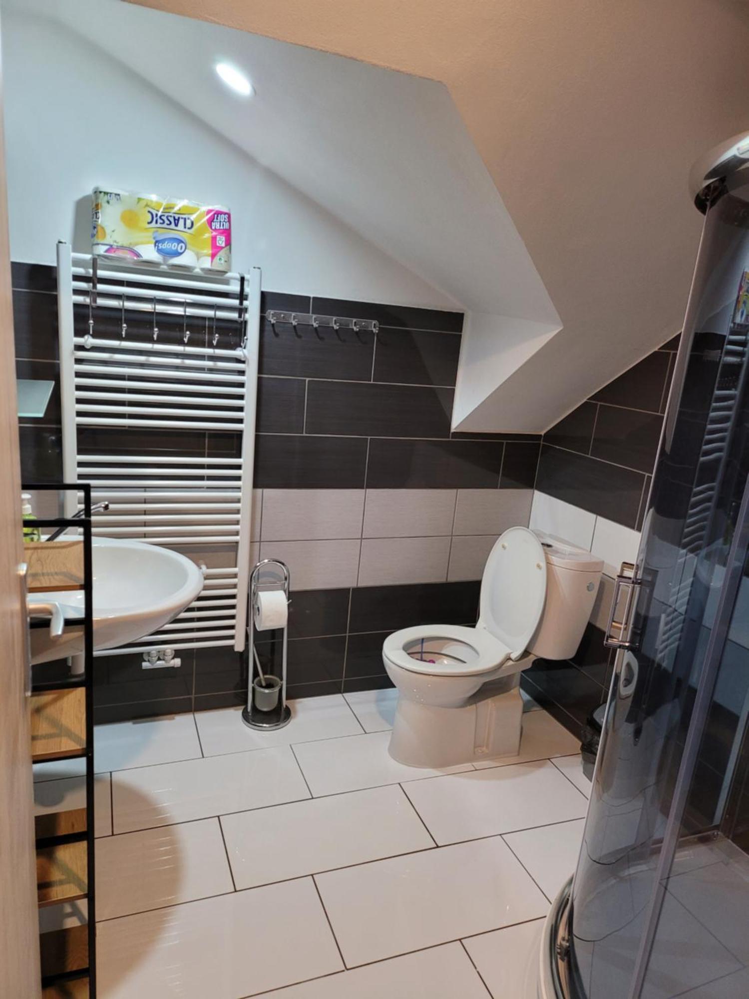 Penzion Karolina Lučany nad Nisou Extérieur photo