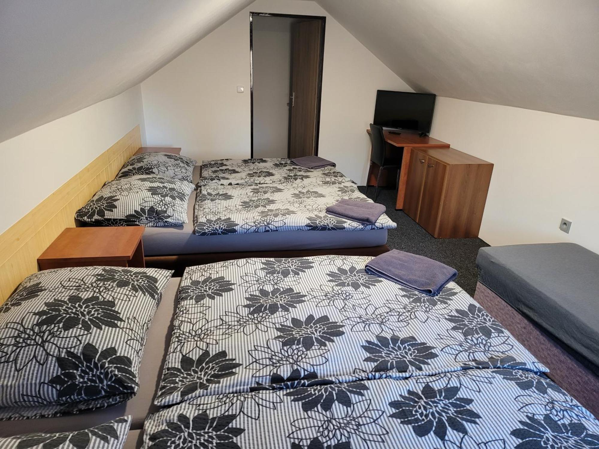 Penzion Karolina Lučany nad Nisou Extérieur photo