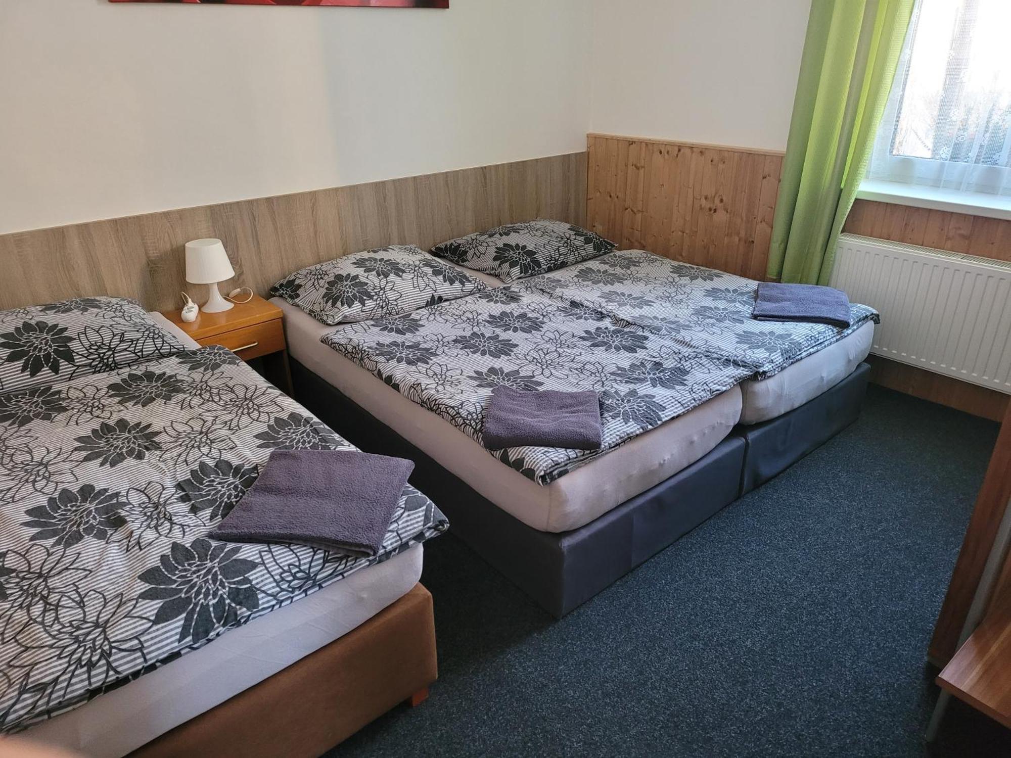 Penzion Karolina Lučany nad Nisou Extérieur photo