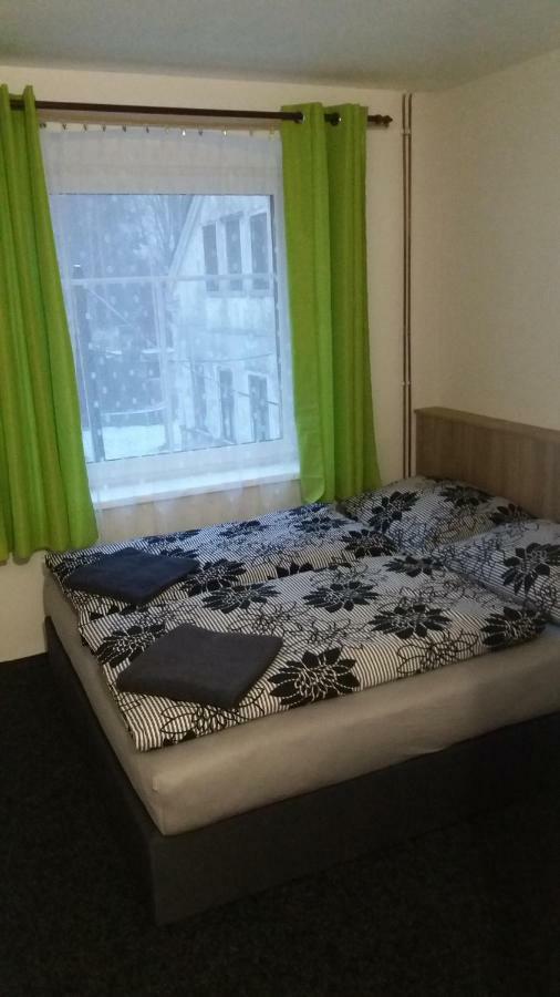 Penzion Karolina Lučany nad Nisou Extérieur photo