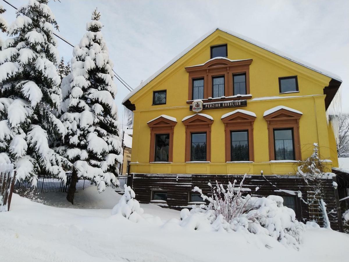 Penzion Karolina Lučany nad Nisou Extérieur photo