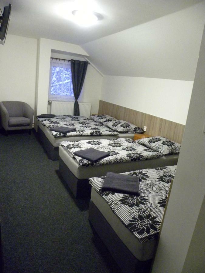 Penzion Karolina Lučany nad Nisou Extérieur photo