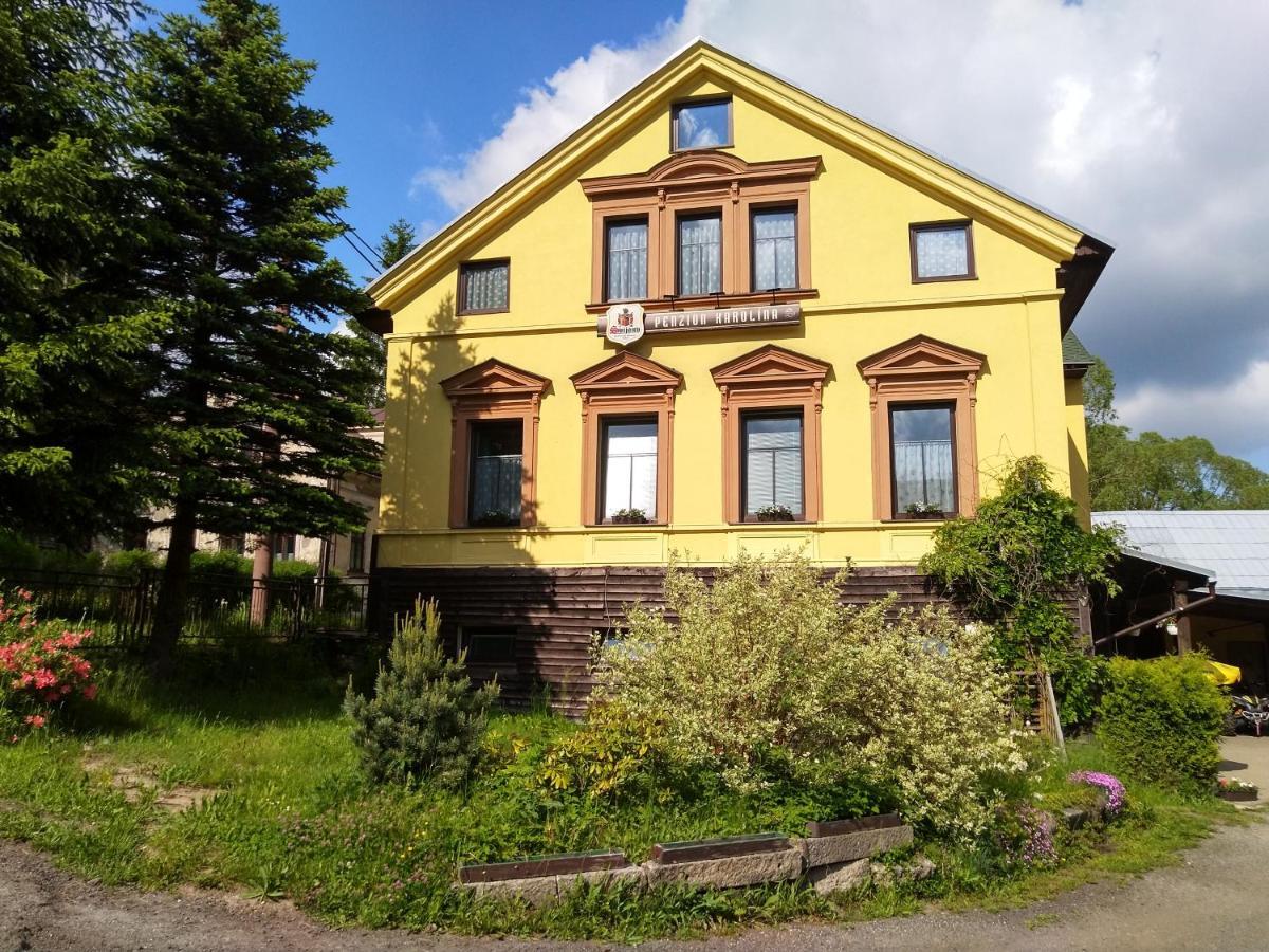 Penzion Karolina Lučany nad Nisou Extérieur photo
